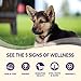 Wellness Complete Health Natural Grain Free Dry Puppy Food, Chicken & Salmon, 4-Pound Bag