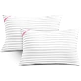 EIUE Throw Pillow Inserts, Machine Washable Pillows,Premium Polyester Fiber Fill for Sofa Bed & Decorative Cushions (White, 12x20inch)