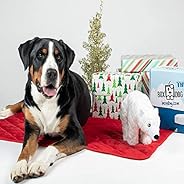 BoxDog - 4 Giant Seasonal Dog Boxes per Year Filled With Handmade Treats, Vegan Skincare, Dog Toys, Gear &