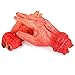 ONEDONE Severed Hand Scary Bloody Fake Human Body Parts Halloween Prop Cospaly