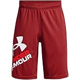 Under Armour Boys' Prototype 2.0 Logo Shorts
