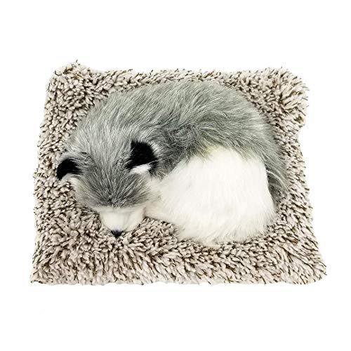 Perfect Petzzz Mini Baby Alaskan Husky Puppy Dog Buy Online in UAE. Toys And Games Products