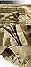 Uncinba Men's Cotton Loose Fit Multi Pocket Camouflage Cargo Short Plus Size