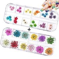 60PCS Nail Dried Flowers - 24 Colors 3D Dry Flowers Nail Art Stickers Decoration Mini Real Natural Nail Supplies Tips Manicure Decor Mixed Accessories(24PCS Starry and 36PCS Five Flower)