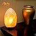 Salt Lamp by HSS Himalayan Salt Lamp Himalayan Pink Salt Lamp Salt Lamp Cord With Dimmer Switch 6 - 7 lbs, 7 - 8 Inches, Shinny Wooden Base, 1 Bulb, 6 Feet Long UL Approved Cord