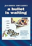 BULLET IS WAITING / (MOD)                          image