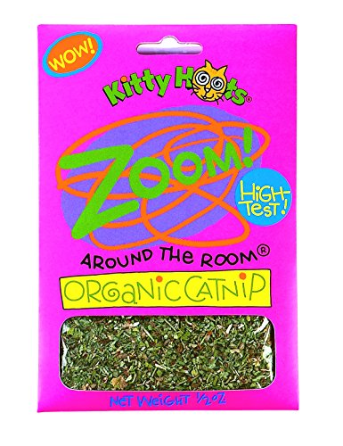 Fat Cat Kitty Hoots Zoom Around the Room Organic Catnip