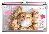 Vaultz Locking Supply Box, 8.25 x 5.5 x 2.5 Inches, Love Kitten (VZ00773)