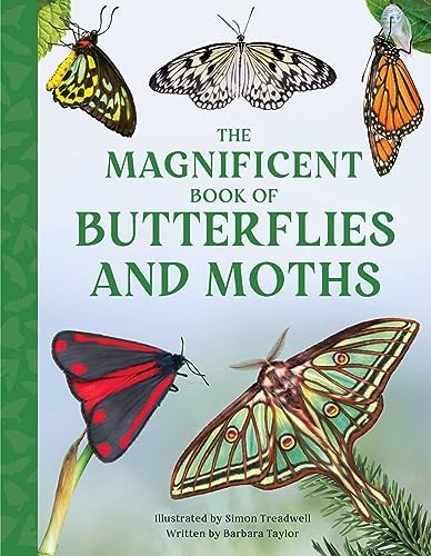 The World Encyclopedia of Butterflies & Moths: A Natural History