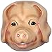 Rubies Forum Novelties Adult Plastic Animal Mask, Pig