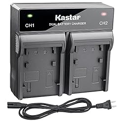 Kastar Fast Dual Charger Replacement for Panasonic