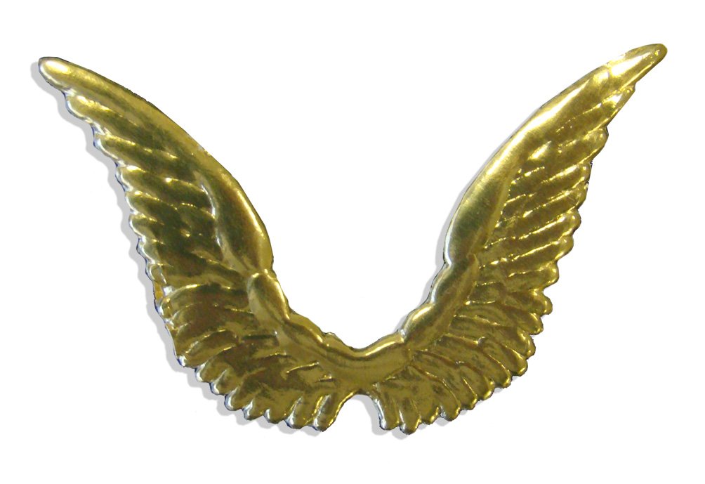 Walter Kunze Design 10-Piece Celestial Dresden Angel Wings, Gold