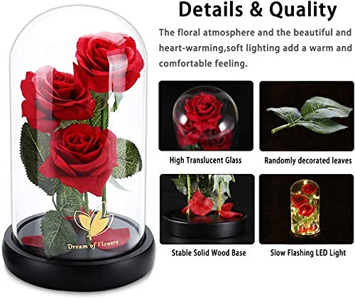 Beauty and The Beast Rose flowers, 40 LED Lights in Glass Dome on Wood Base, Warm Light mode, a Fallen leaves, Multi Use for Home/Office or Home Decorations, Mother's Day Gifts for Women - Thumbnail 4