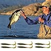 Fishing-Soft-Lures-Set-Artificial-Bait-Lure-with-15-Worms-6-Curl-Tail-Lures-1-Wacky-Rig-Tool-20-O-Rings-1-Waterproof-Fishing-Lure-Organizer-Bag-for-Saltwater-Freshwater-Bass-Trout-Barracuda-Salmon Fishing-Soft-Lures-Set-Artificial-Bait-Lure-with-15-Worms-6-Curl-Tail-Lures-1-Wacky-Rig-Tool-20-O-Rings-1-Waterproof-Fishing-Lure-Organizer-Bag-for-Saltwater-Freshwater-Bass-Trout-Barracuda-Salmon
