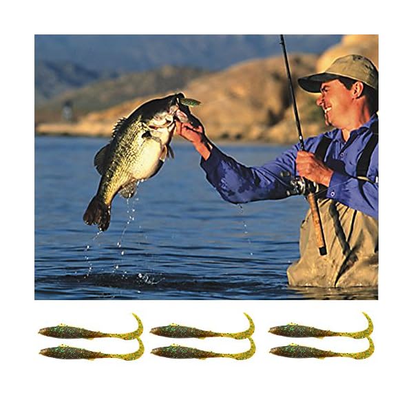 Fishing-Soft-Lures-Set-Artificial-Bait-Lure-with-15-Worms-6-Curl-Tail-Lures-1-Wacky-Rig-Tool-20-O-Rings-1-Waterproof-Fishing-Lure-Organizer-Bag-for-Saltwater-Freshwater-Bass-Trout-Barracuda-Salmon Fishing-Soft-Lures-Set-Artificial-Bait-Lure-with-15-Worms-6-Curl-Tail-Lures-1-Wacky-Rig-Tool-20-O-Rings-1-Waterproof-Fishing-Lure-Organizer-Bag-for-Saltwater-Freshwater-Bass-Trout-Barracuda-Salmon