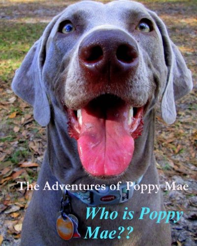 The Adventures of Poppy Mae: Who Is Poppy Mae? (Volume 1)