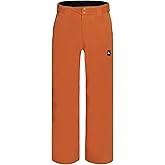 Quiksilver boys Heavyweight Ski Snow Estate Pant, Insulated & Waterproof