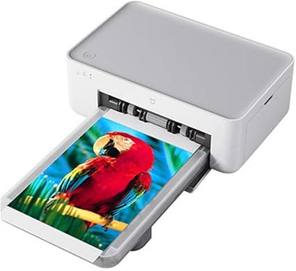 mini colored printer