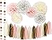 Ella Mint 20PCS Tissue Decoration Kit | Pretty Party Supplies: Pom Flowers, Garland & Tassels | Pastel Pink, Cream & Gold Polka Dot | Perfect poms for baby shower or girls first birthday!