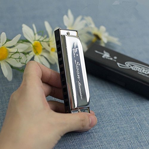 image for Imelod 10 Hole Diatonic Harmonica for Beginners Kids,Harmonica Key of 