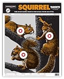 Life Size Squirrel - Paper Gun Hunting Shooting Targets 15x19 Inch
