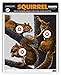 Life Size Squirrel - Paper Gun Hunting Shooting Targets 15x19 Inch