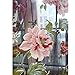 SOURBAN Romantic Floral Tulle Door Window Curtain Drape Panel Sheer