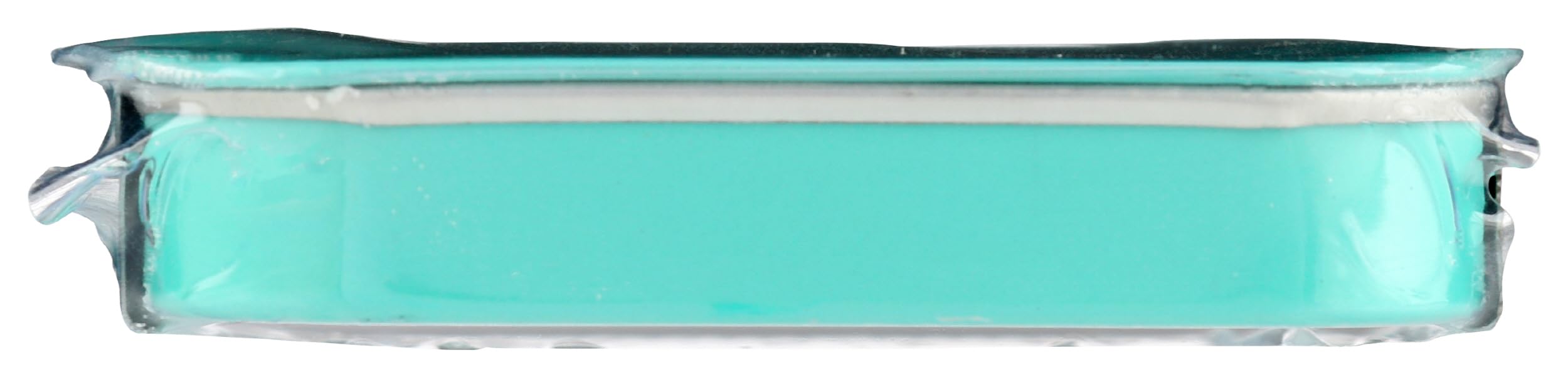 Neuro, Mints Energy Focus Mint Single, 12 Count