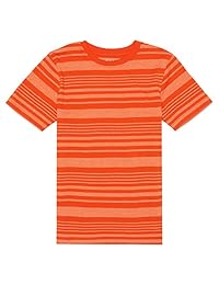 Camiseta con cuello redondo y rayas estampadas de French Toast Boys