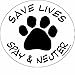 Imagine This 4-3/4-Inch by 4-3/4-Inch Car Magnet Social Issues Circle, Save Lives White Spay and Neuter (C0235)
