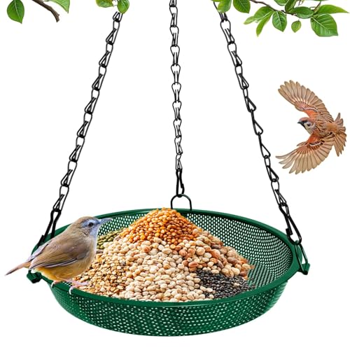 Hanging Platform Bird Feeder, 9 in, Green