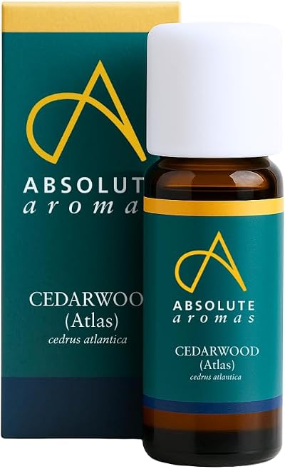 Absolute Aromas Cedarwood Essential Oil 10ml Pure Atlas Cedarwood