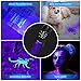 Morpilot Blacklight Flashlights, 2 in 1 LED UV Blacklight with 500LM Highlight, 4 Modes, 395nm Black Light Flashlight for Pet Urine/Scorpion Detection/Night Fishing/Travel/Camping, 2pcs
