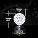 ORROUS & CO Legacy Collection 18K Gold Plated Cubic Zirconia Halo Stud Earrings, Round