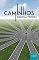 Livro CAMINHOS (Autoajuda Livro 1)