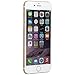 Apple iPhone 6 Plus, 16GB, Gold - Fully Unlocked (Renewed)