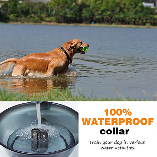 Gtpeak Bark Collar Dog Training Collars[2018 New] for Small Medium Large Breed with 3 Attention-Generating Tactic, Waterproof/Remote/Rechargeable/Harmless E Trainer