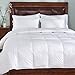 Home Elements Peace Nest - Lightweight Down Comforter Duvet Insert Cotton 550 Fill Power, White, Full/Queen Size
