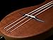 Seagull Merlin Mahogany SG Dulcimer Guitar Natural