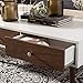 Baxton Studio Gemini Wood Contemporary Coffee Table, White