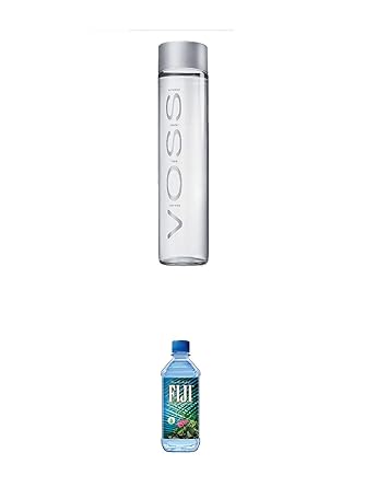 Voss Artesian STILL Gletscher Wasser in Glasflasche 0,8 Liter + Fiji Wasser von den Fiji-Inseln 1 x 1,0 Liter