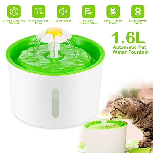 water bowl for cats that splash water