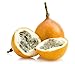 Granadilla Grenadia Passiflora Ligularis Maracujá Doce Passionfruit Seeds 25 PCS