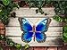 The Paragon Garden Decor - Butterfly Patio Wall Decoration, Metal and Glass Sculpture, Indoor or Outdoor Wall Art