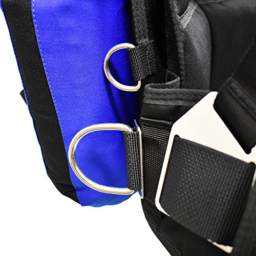 Palantic Donut Wing Single Tank Harness System, Blue, 30 lb