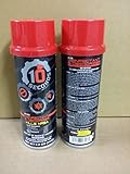 10-Seconds Shoe Deodorizer and Disinfectant - The Only EPA-Approved Shoe Disinfectant effective against Bacteria, Fungus, Mold, and Mildew (Pack of 2)