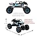 DoitY Electric RC Car, 1:16 4WD 2.4Ghz High Speed Off Road Remote Control Car/ Vehicle/ Truck/ Crawler Climber, Two Rechargeable Batteries Included, Adults and Kids