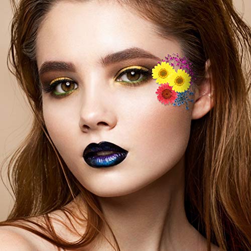 Real Dried Pressed Flowers and Leaves - 73pcs Mixed Multiple Dry Flower and Leaf with Tweezer for DIY Candel Resin Jewelry Nail Pendant Crafts Art Floral Decoration