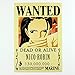 Bluefun Anime One Piece Pirates Wanted Posters 9pcs Set - Style New