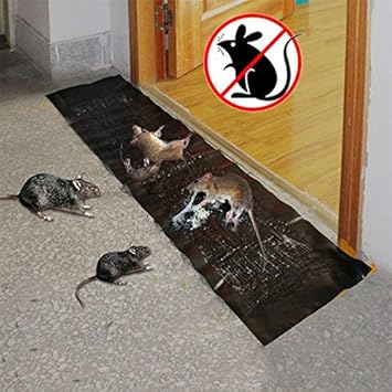 Mäuse klebefalle baumarkt